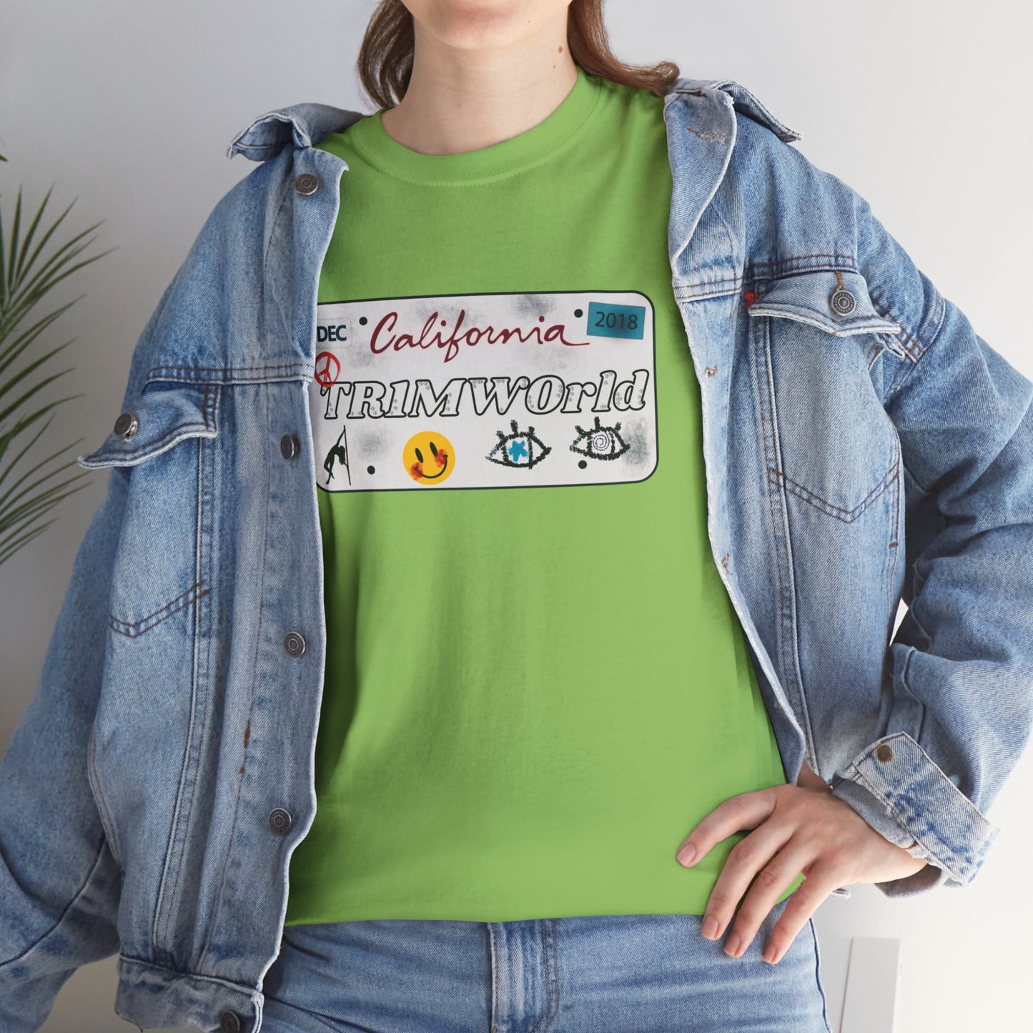 License plate T shirt